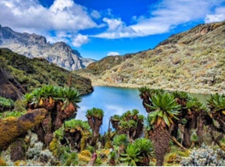 The History of Exploration and Tourism Development in the Rwenzori Mountains
