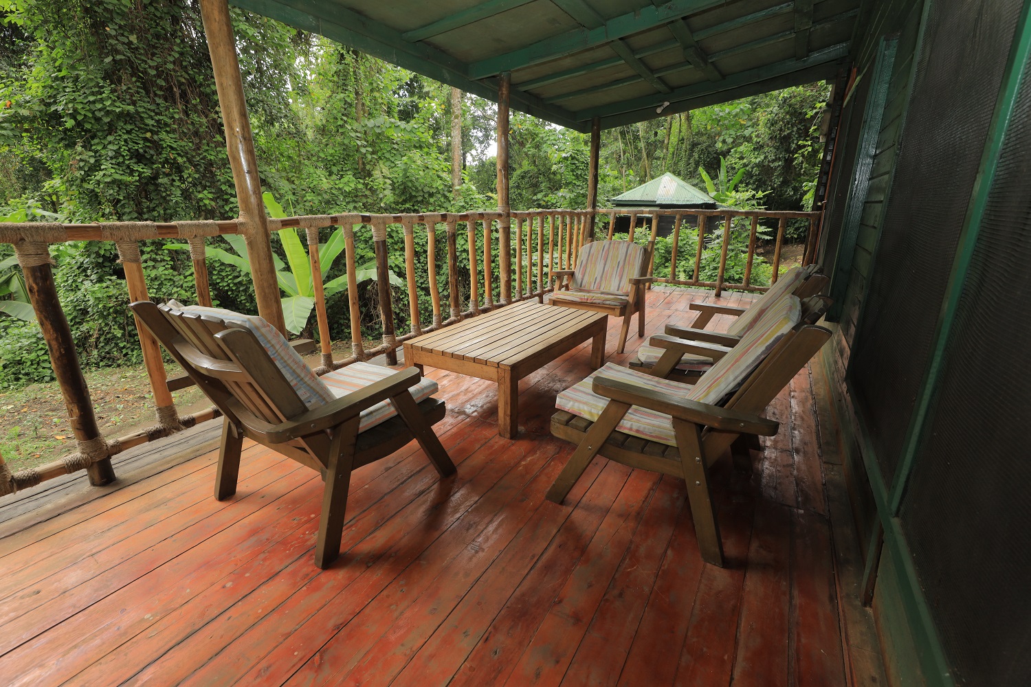 2026 Tusker Lite Rwenzori Marathon Weekend Accommodation Available in Ruboni Tourism Village