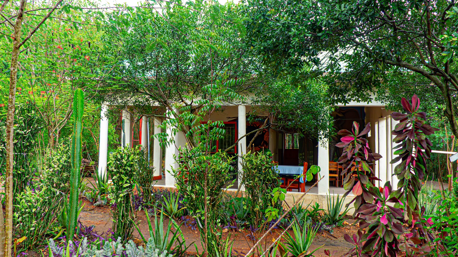 The Elephant Home: Your Wilderness Sanctuary Between Queen Elizabeth National Park and the Rwenzori Mountains